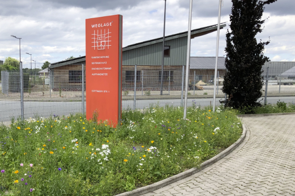 Blumenwiese auf dem Betriebsgelände von Weglage
